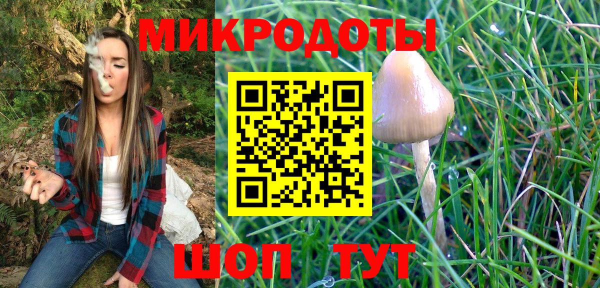 Псилоцибиновые грибы прущие грибы Сызрань